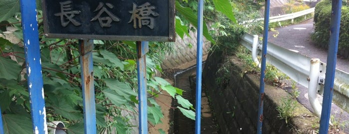 長谷橋 (帷子川支流) is one of 帷子川に架かる橋と周辺の公園・史跡.