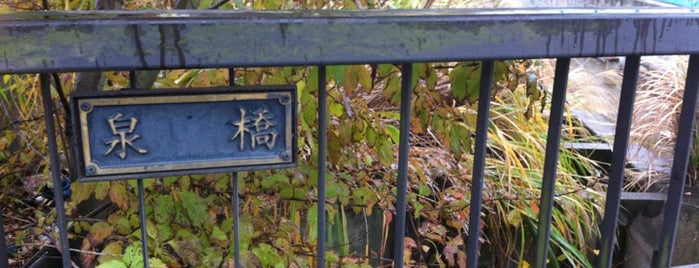 泉橋 (帷子川支流) is one of 帷子川に架かる橋と周辺の公園・史跡.