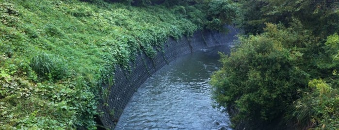 下川橋 is one of 帷子川に架かる橋と周辺の公園・史跡.