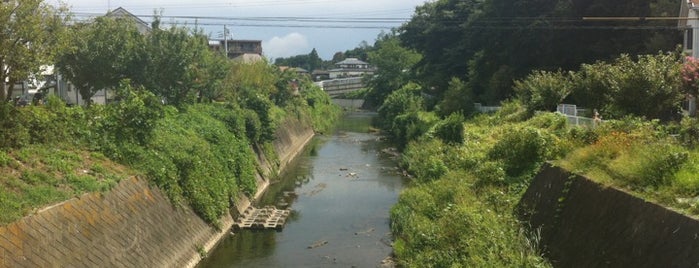 越巻橋 is one of 帷子川に架かる橋と周辺の公園・史跡.