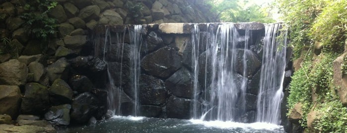 白根不動 白糸の滝 is one of 帷子川に架かる橋と周辺の公園・史跡.