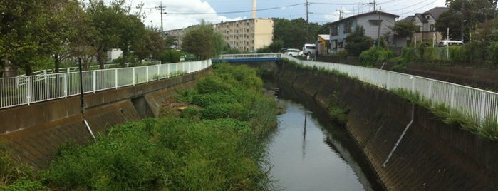 今宿南橋 is one of 帷子川に架かる橋と周辺の公園・史跡.