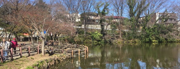 菊名池公園 is one of 散歩にはとっておきの公園.