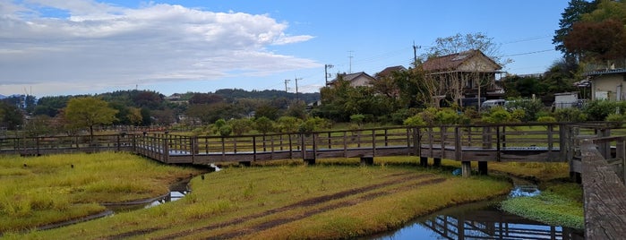 湿生園 is one of lake-kanagawa.