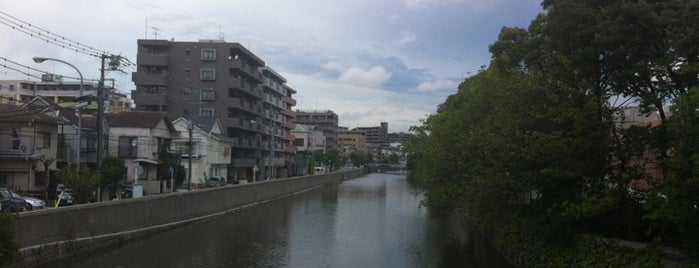 藤江橋 is one of 帷子川に架かる橋と周辺の公園・史跡.