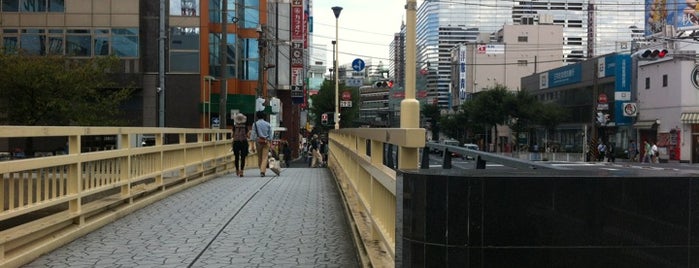 内海橋 is one of 帷子川に架かる橋と周辺の公園・史跡.