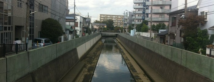 逗子橋 is one of 帷子川に架かる橋と周辺の公園・史跡.