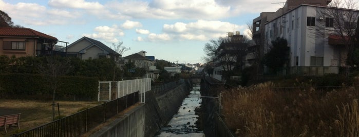 宿場橋 is one of 帷子川に架かる橋と周辺の公園・史跡.