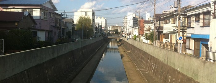 田町橋 is one of 帷子川に架かる橋と周辺の公園・史跡.