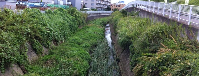 吹上橋 is one of 帷子川に架かる橋と周辺の公園・史跡.