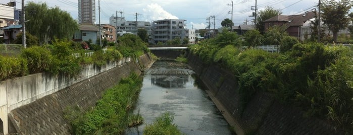 今川親水橋 is one of 帷子川に架かる橋と周辺の公園・史跡.