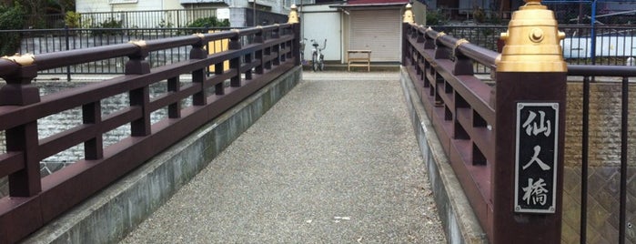 仙人橋 is one of 帷子川に架かる橋と周辺の公園・史跡.