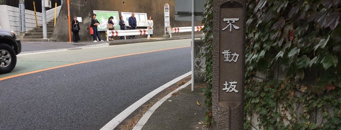 不動坂 (根岸旭台) is one of 横浜の坂道を歩く.