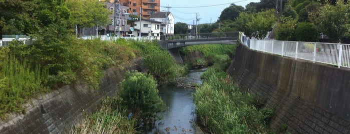 今宿新橋 is one of 帷子川に架かる橋と周辺の公園・史跡.