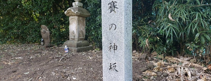 賽の神坂 is one of 相模原/座間/大和の坂道を歩く.