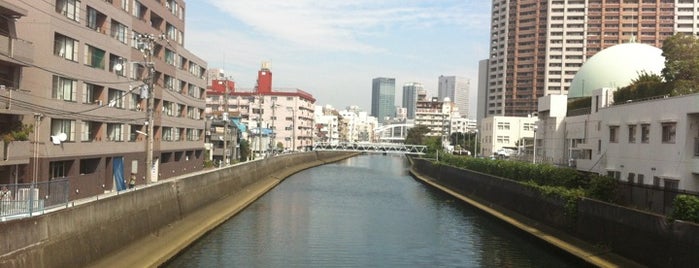 沼野橋 is one of 帷子川に架かる橋と周辺の公園・史跡.