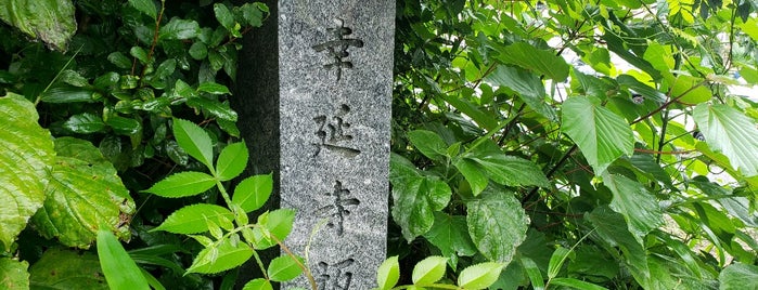 幸延寺坂 is one of 相模原/座間/大和の坂道を歩く.