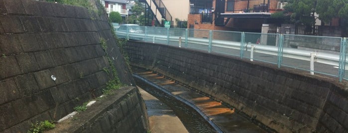 南本宿2の橋 is one of 帷子川に架かる橋と周辺の公園・史跡.
