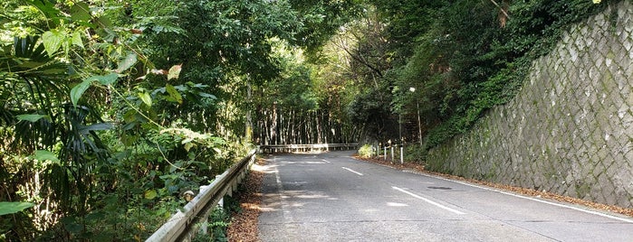 大正坂 is one of 相模原/座間/大和の坂道を歩く.