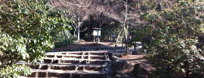 Momijidani Park is one of 岩国・宮島の旅, Jan.4-5,2013.