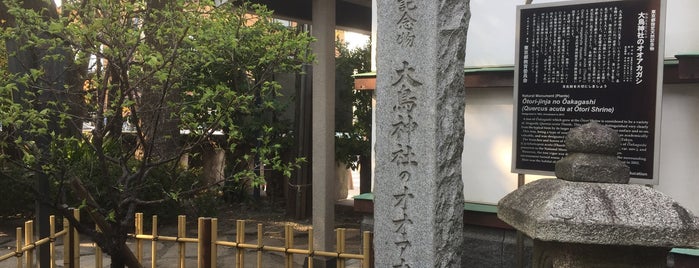 都天然記念物 大鳥神社のオオアカガシ 跡 is one of 観光4.