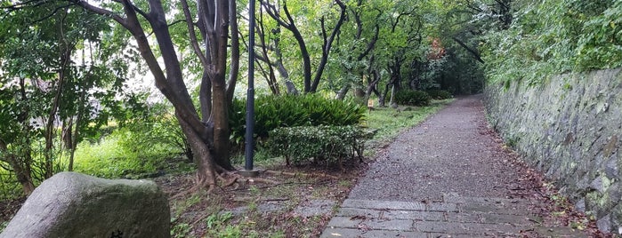 柿の木坂 is one of 横浜の坂道を歩く.
