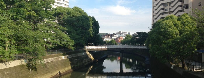 常盤橋 is one of 帷子川に架かる橋と周辺の公園・史跡.