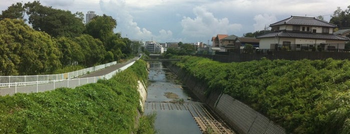 公園橋 (帷子川) is one of 帷子川に架かる橋と周辺の公園・史跡.