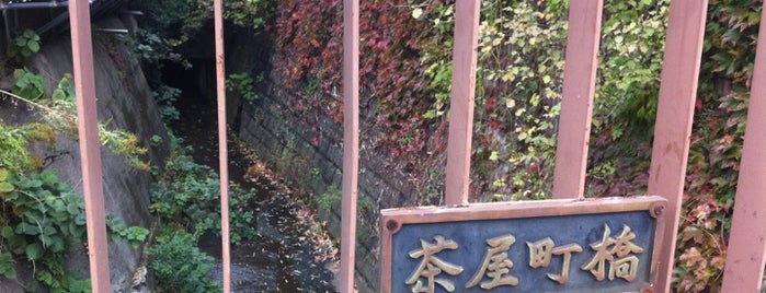 茶屋町橋 is one of 帷子川に架かる橋と周辺の公園・史跡.