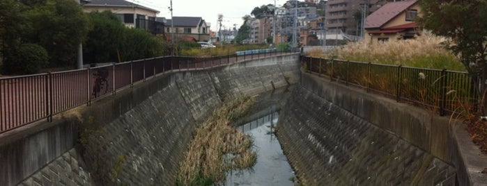 新道明橋 is one of 帷子川に架かる橋と周辺の公園・史跡.