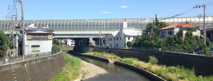平和橋 is one of 帷子川に架かる橋と周辺の公園・史跡.
