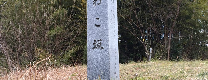 ねこ坂 is one of 相模原/座間/大和の坂道を歩く.