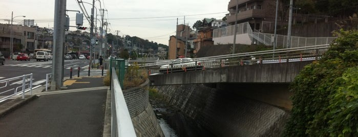 新大橋 is one of 帷子川に架かる橋と周辺の公園・史跡.