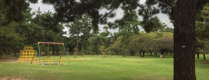 Hamadera Park is one of 大阪みどりの百選.