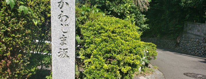 かわじま坂 is one of 相模原/座間/大和の坂道を歩く.