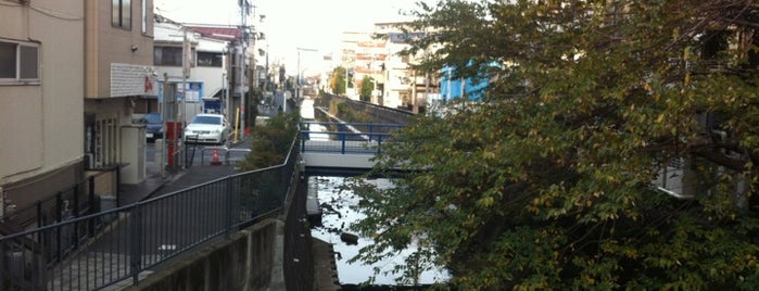 岩井橋 is one of 帷子川に架かる橋と周辺の公園・史跡.