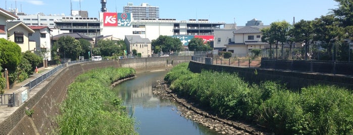 川田橋 is one of 帷子川に架かる橋と周辺の公園・史跡.