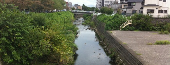 高山橋 is one of 帷子川に架かる橋と周辺の公園・史跡.