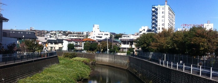 すみれウォーク is one of 帷子川に架かる橋と周辺の公園・史跡.