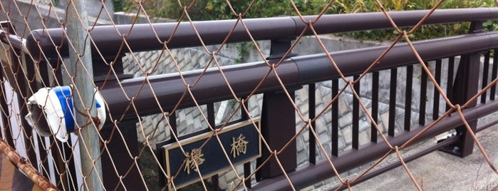 欅橋 is one of 帷子川に架かる橋と周辺の公園・史跡.