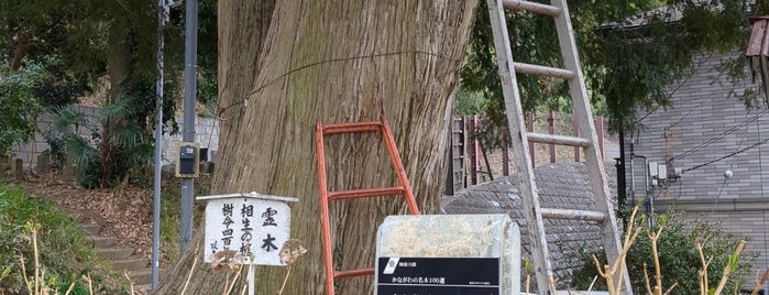 大谷観音堂 is one of 神奈川東部の神社(除横浜川崎).