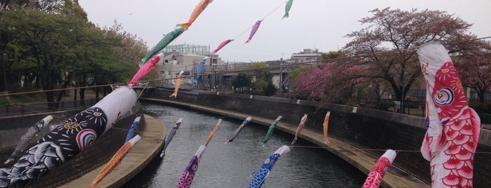 愛染橋 is one of 帷子川に架かる橋と周辺の公園・史跡.