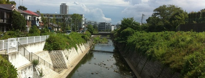 今川人道橋 is one of 帷子川に架かる橋と周辺の公園・史跡.