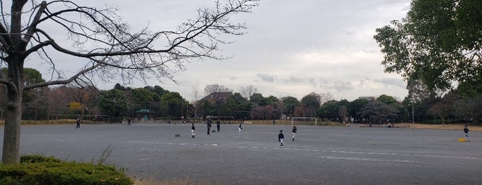 牛久保西公園 is one of 散歩にはとっておきの公園.