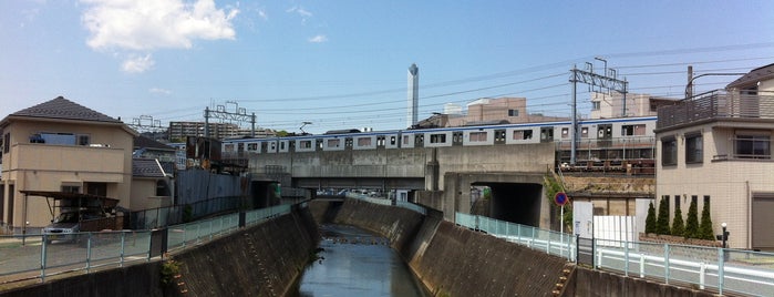 逆田橋 is one of 帷子川に架かる橋と周辺の公園・史跡.