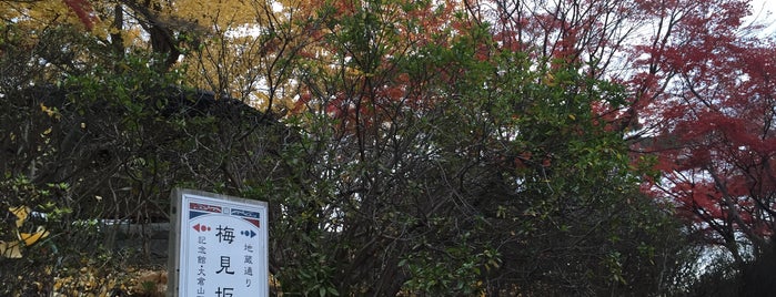 梅見坂 is one of 横浜の坂道を歩く.