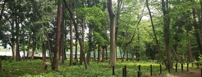 古淵鵜野森公園 is one of 散歩にはとっておきの公園.
