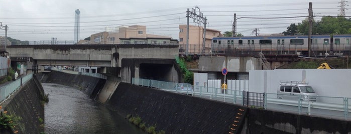 上逆田橋 is one of 帷子川に架かる橋と周辺の公園・史跡.