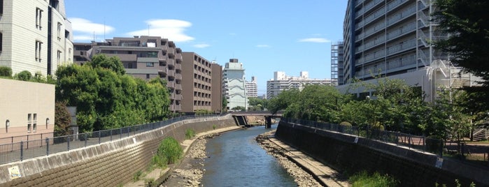 星川下橋 is one of 帷子川に架かる橋と周辺の公園・史跡.