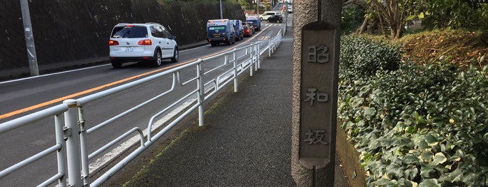 昭和坂 is one of 横浜の坂道を歩く.